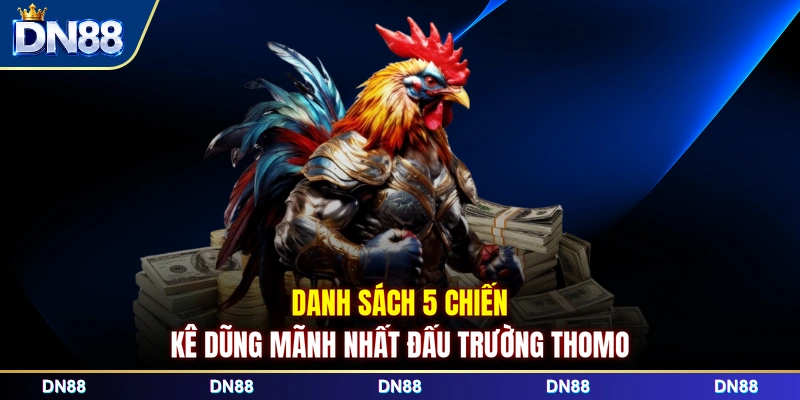 Danh sách 5 chiến kê dũng mãnh nhất đấu trường Thomo