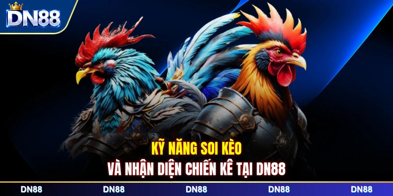 Kỹ năng soi kèo và nhận diện chiến kê tại DN88